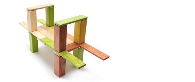 Tegu explorer set discount