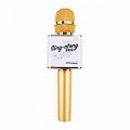 Gold Wireless Microphone
