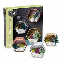 Mini Terrariums Kit