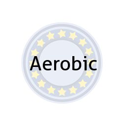 Aerobic